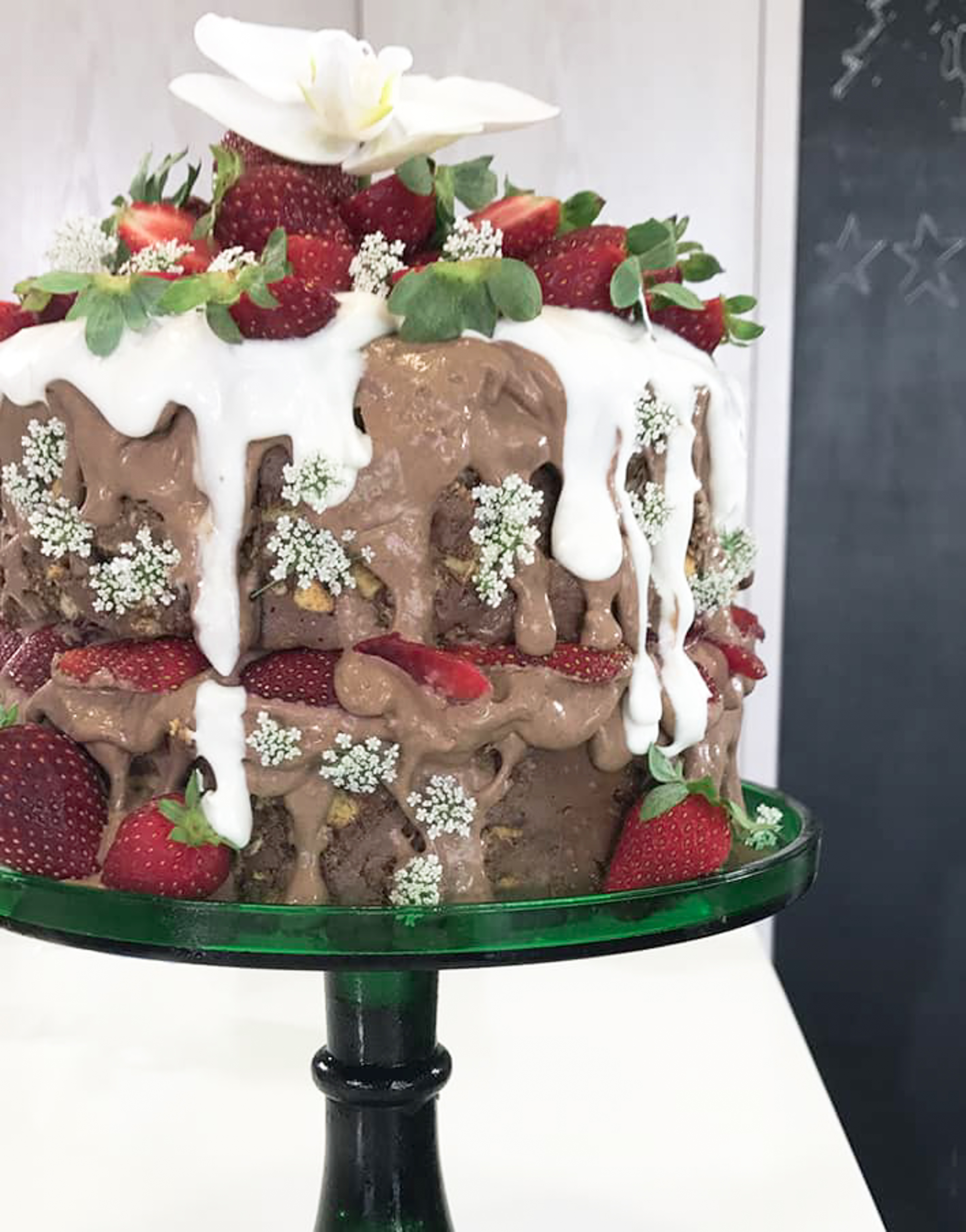 Chocolate-biscuit-cake-5-recipe-dessert